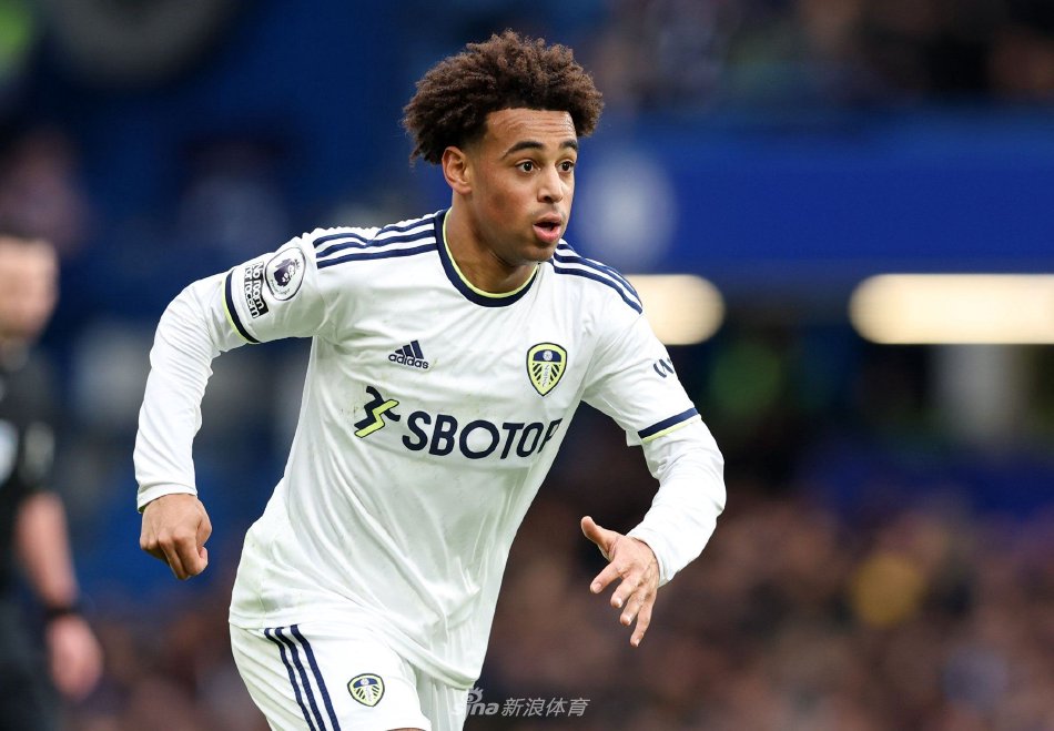 推出了飞盘 推出了飞盘